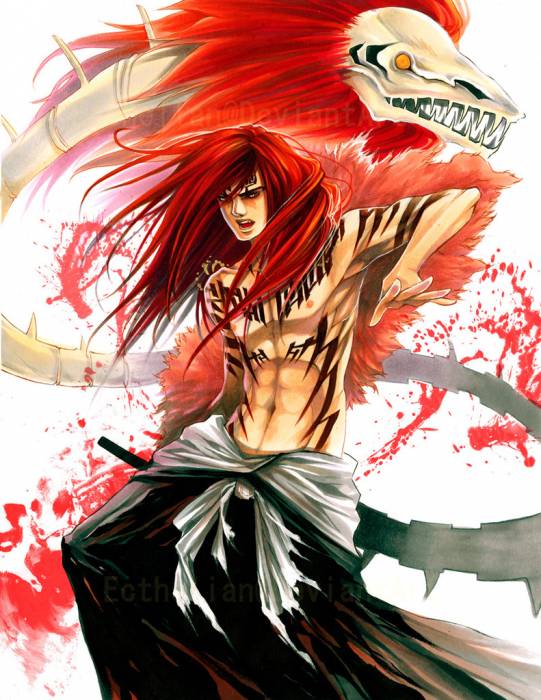 chiboard-b2t27557-20080511_Renji_by_Ecthelian_upby-Duky.jpg