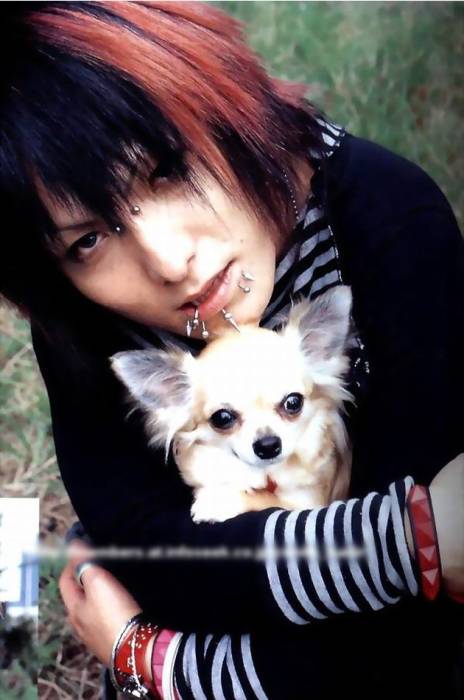 chiboard-b8t27633-20080513_nightmare6hitsugi92dc_upby-Naoya.jpg