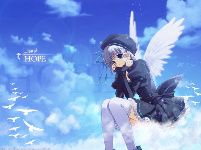 chiboard-b1t27782-20080517_angel_upby-Sawamura.jpg