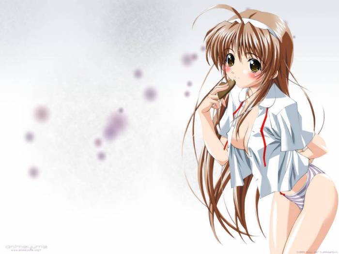 chiboard-b1t27792-20080517_ecchi_31__upby-Sawamura.jpg