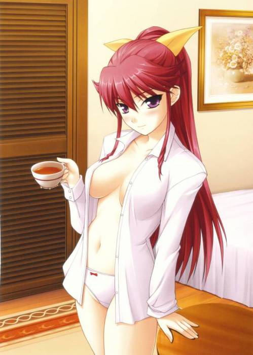 chiboard-b1t27875-20080519_Kimi-ga-Aruji-de-Shitsuji-ga-Ore-de_Kensai-Kaze_upby-MiniNari.jpg