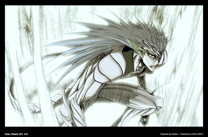 chiboard-b2t28050-20080521_bleach281bd3_upby-xXx_ShinRei_xXx_.jpg