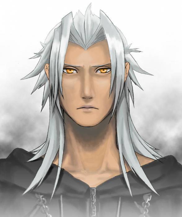 chiboard-b2t28231-20080522_Xemnas_upby-Duky.jpg
