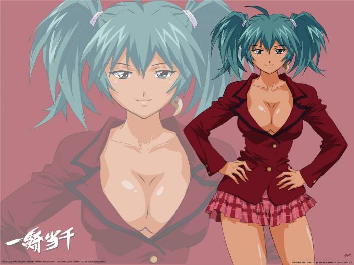 chiboard-b1t28599-20080529_Ikkitousen_4_upby-Yohime.jpg