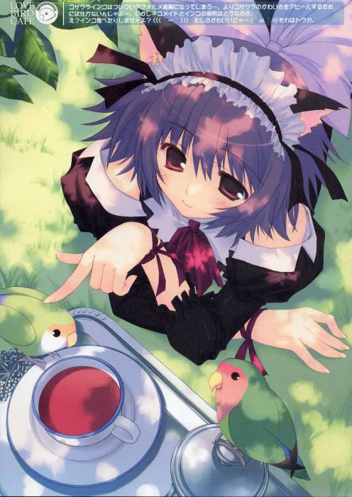 chiboard-b1t28768-20080602_a16dd4beb8d1fbd4e5cb827abc1f2173_upby-Devilblood.jpg