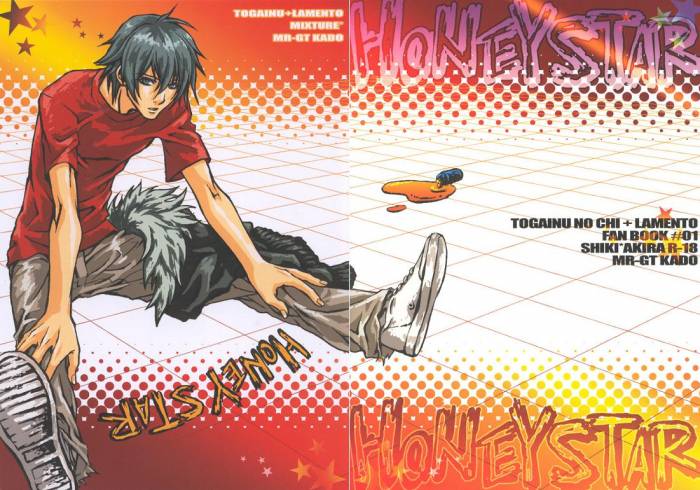 chiboard-b2t28985-20080607__B-P_HONEY_STAR_00_2_upby-xXx_ShinRei_xXx_.jpg