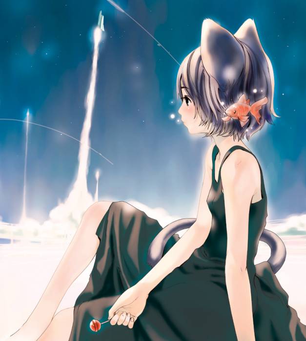 chiboard-b1t29073-20080608_076bb9647b57bc73062f5c180bc05fad_upby-Suiginto_maiden.jpg