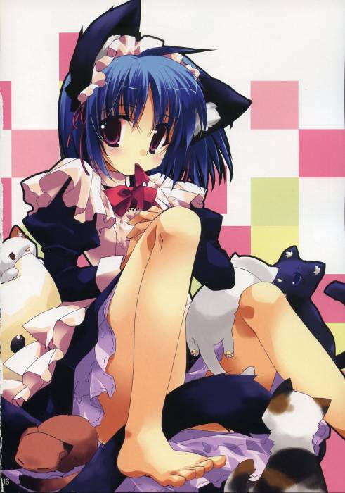 chiboard-b1t29371-20080612_neko_2_upby-Yohime.jpg
