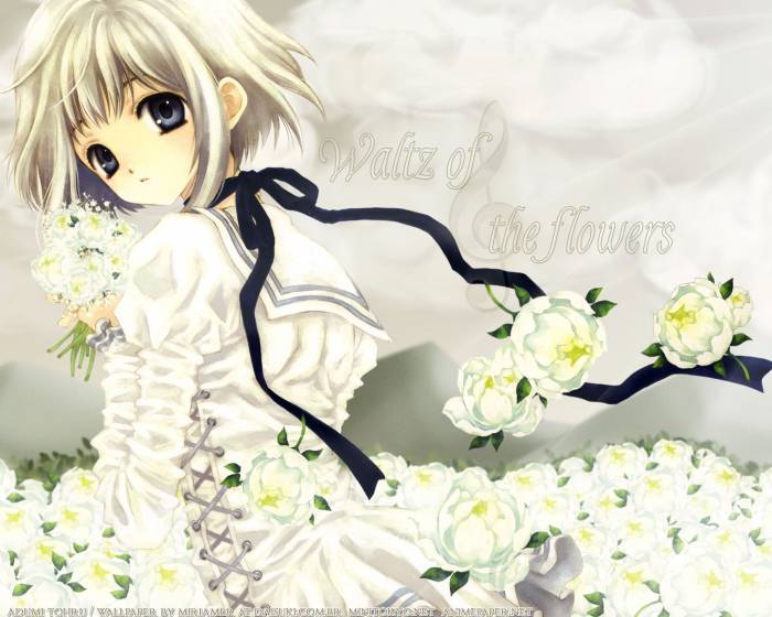 chiboard-b1t29433-20080612_2007-10-31-78062_upby-Suigintou_maiden.jpg