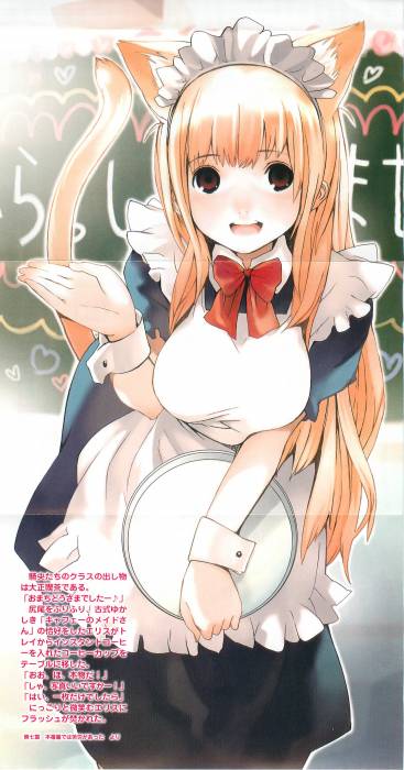 chiboard-b1t29458-20080613_2008-06-12-104610_upby-Suigintou_maiden.jpg
