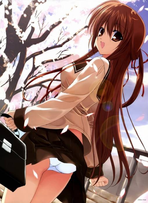 chiboard-b1t29546-20080614_ecchi56vo3_upby-zabieru.jpg