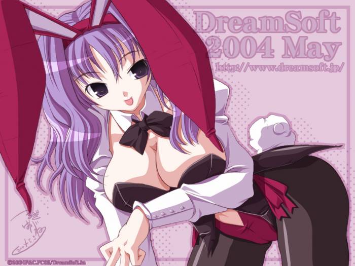 DreamSoft.jpg