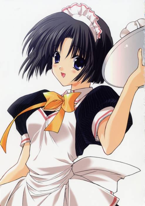 chiboard-b1t29679-20080616_4a0f1c5c814a9a4e126aa0191065c6d2_upby-shinigami21.jpg