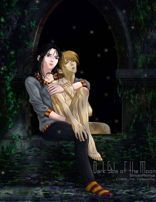 chiboard-b2t29897-20080620_Sirius_x_Remus_by_fablespinner_upby-....jpg