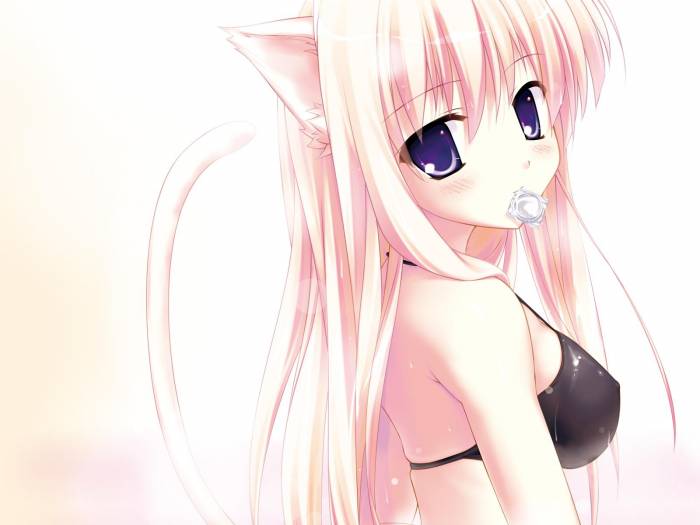 chiboard-b1t29973-20080622_the_cat_of_sex_upby-Nesquik69.jpg
