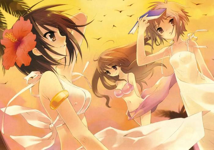 chiboard-b1t30031-20080622_Suzumiya_haruhi_1_upby-Yohime.jpg