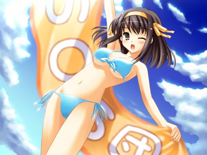 chiboard-b1t30032-20080622_Suzumiya_haruhi_2_upby-Yohime.jpg