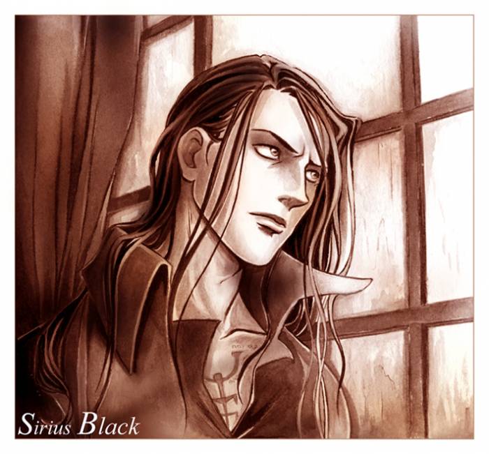 chiboard-b2t30106-20080623_Sirius_Black_Collab_with_Hito_by_Phenix_Land_upby-Ayashi.jpg