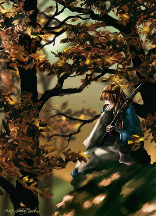 chiboard-b2t30283-20080625_autumn_1__upby-Duky.jpg