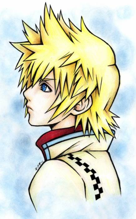 chiboard-b2t30329-20080626_kingdom_hearts_10_upby-xXx_ShinRei_xXx.jpg