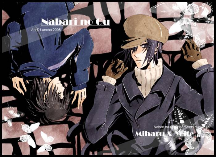 chiboard-b2t30347-20080626_54545_upby-Devilblood.jpg