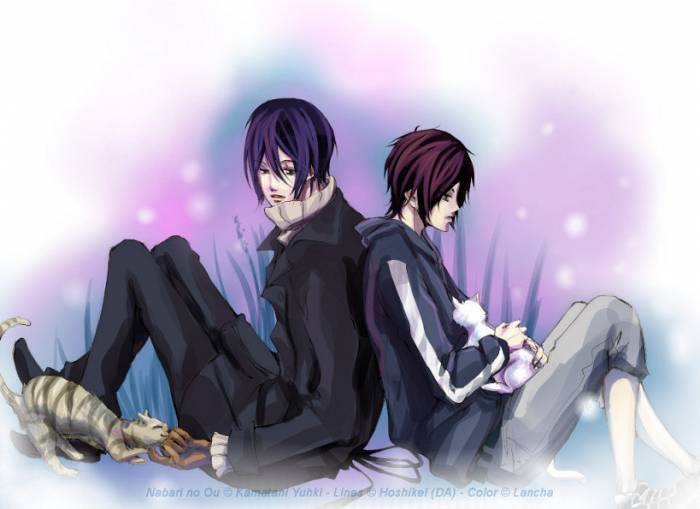 chiboard-b2t30348-20080626_hjhkhjkhjkhk_upby-Devilblood.jpg