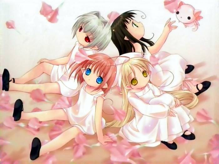 chiboard-b1t30381-20080626_6281866_upby-kuroneko.jpg