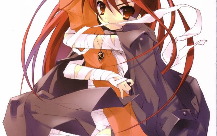 chiboard-b1t30384-20080626_c65007fc729cb0c45abe9085bf9fc9389d8ac45b_upby-Sha-ka.jpg