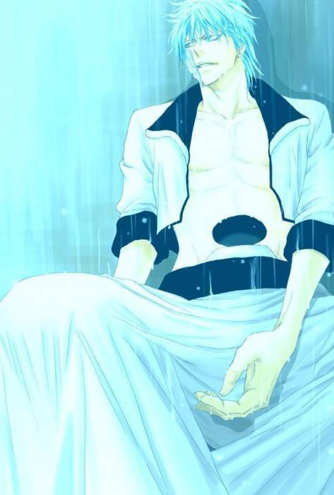 chiboard-b2t30622-20080701_grimmjowintherain_upby-Duky.jpg
