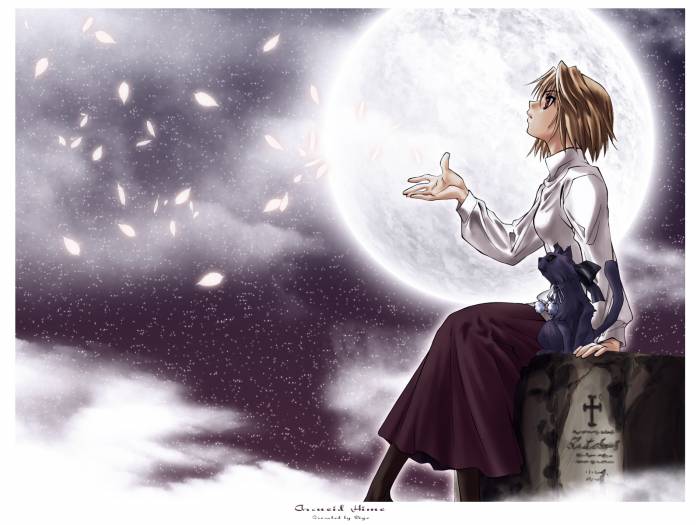 chiboard-b1t30631-20080701_arcueid_hime_upby-Nesquik69.jpg