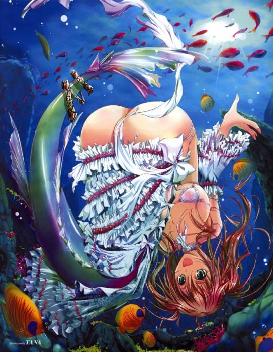 chiboard-b1t30694-20080704_moe_12582_sample_upby-shinigami21.jpg