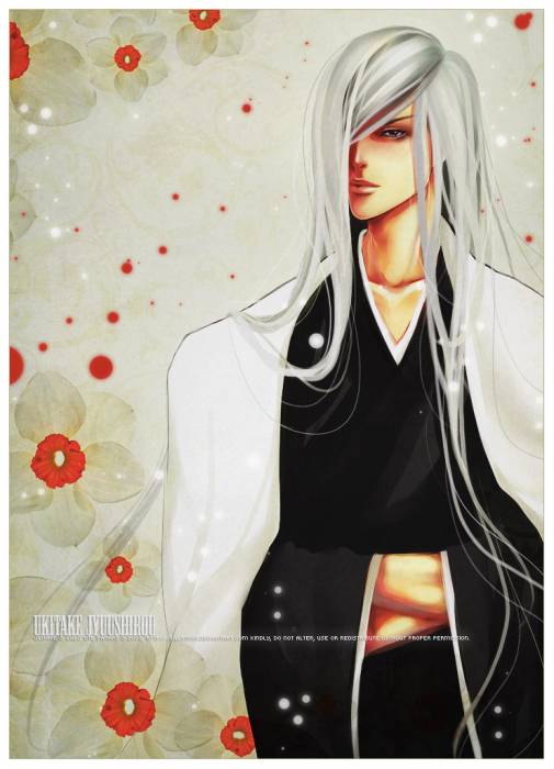 chiboard-b2t30918-20080705_Bleach_134_upby-ChOcOlat.jpg