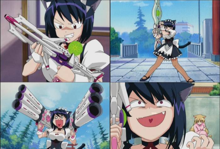 sanada-folie.JPG