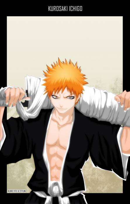 chiboard-b2t30986-20080706_Bleach_199_upby-ChOcOlat.jpg