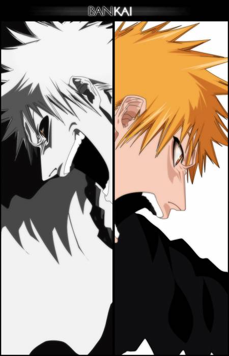 chiboard-b2t30999-20080706_Bleach_214_upby-ChOcOlat.jpg
