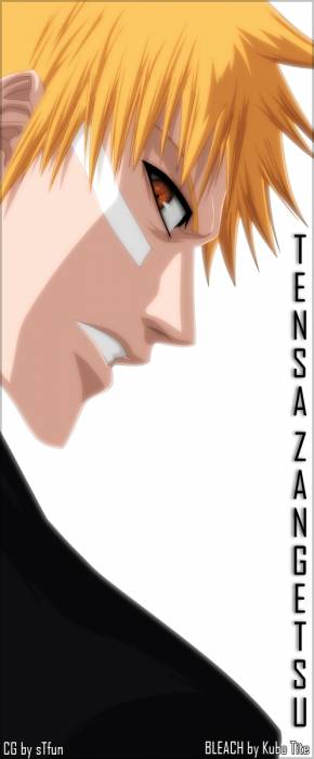 chiboard-b2t31005-20080706_Bleach_221_upby-ChOcOlat.jpg