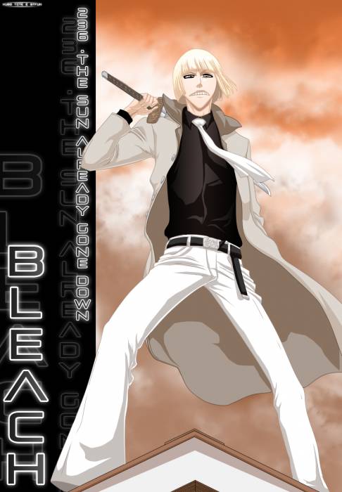 chiboard-b2t31007-20080706_Bleach_223_upby-ChOcOlat.jpg