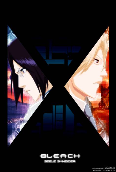 chiboard-b2t31021-20080706_Bleach_239_upby-ChOcOlat.jpg
