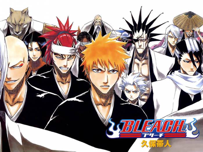 chiboard-b2t31032-20080706_Bleach_251_upby-ChOcOlat.jpg