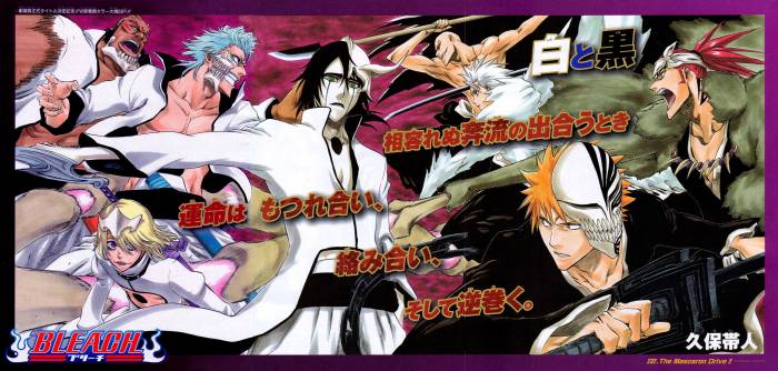 chiboard-b2t31033-20080706_Bleach_252_upby-ChOcOlat.jpg