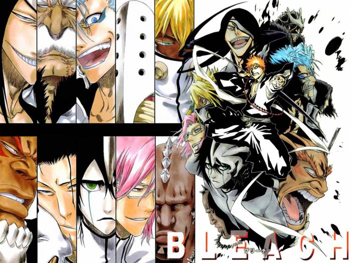 chiboard-b2t31037-20080706_Bleach_258_upby-ChOcOlat.jpg