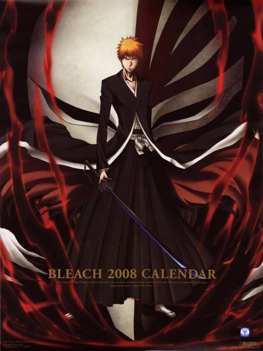 chiboard-b2t31039-20080706_Bleach_262_upby-ChOcOlat.jpg