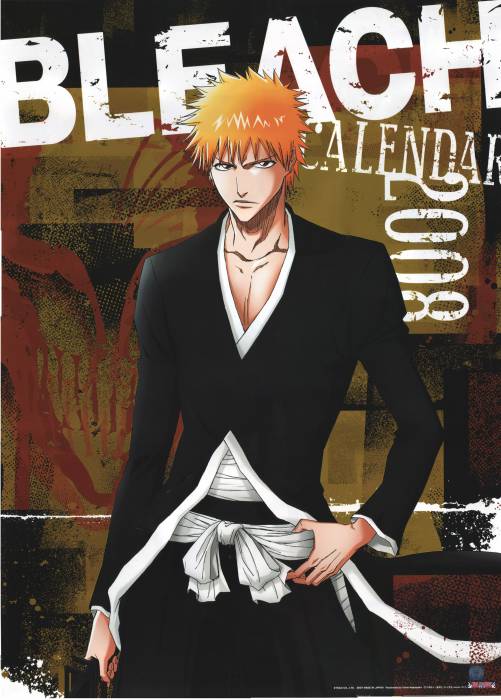 chiboard-b2t31040-20080706_Bleach_263_upby-ChOcOlat.jpg