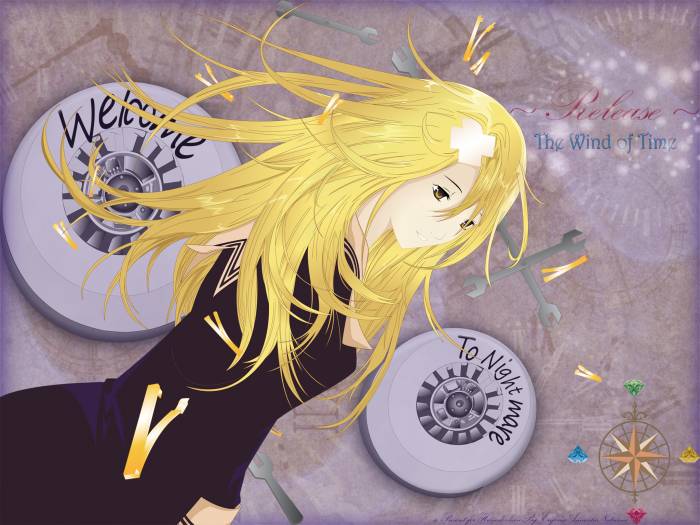 chiboard-b1t31482-20080716_Minitokyo.Anime.Wallpapers.Air.Gear_343555_upby-Ride.jpg