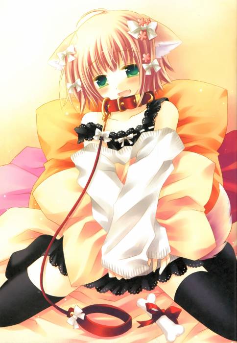 chiboard-b1t31656-20080722_2008-07-02-106897_upby-Devilblood.jpg