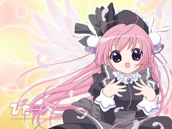 chiboard-b1t31696-20080723_Pita_Ten_-_Angel_Misha_upby-Youffie.jpg