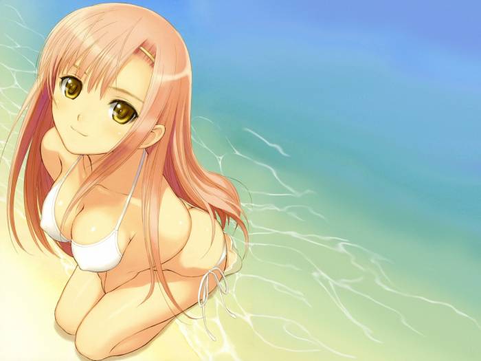 chiboard-b1t31698-20080723_T2_Hayate_no_Gotoku_upby-Youffie.jpg