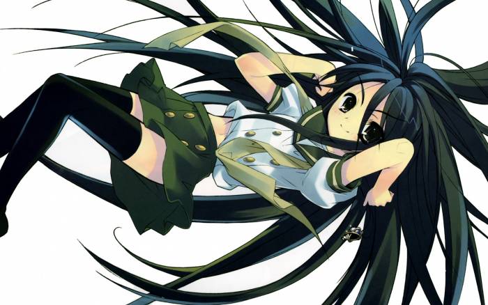 chiboard-b1t31701-20080723_Shana_4_upby-Youffie.jpg