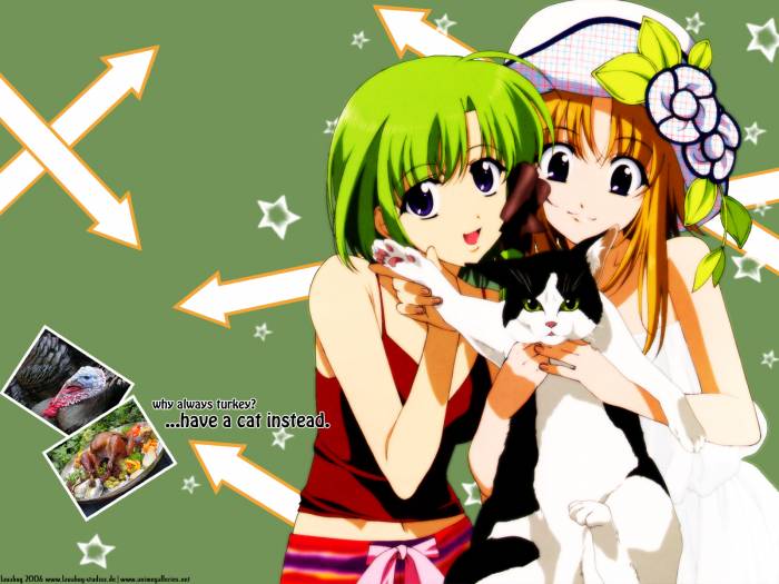 chiboard-b1t31762-20080724_Shuffle___Cat_upby-Youffie.jpg