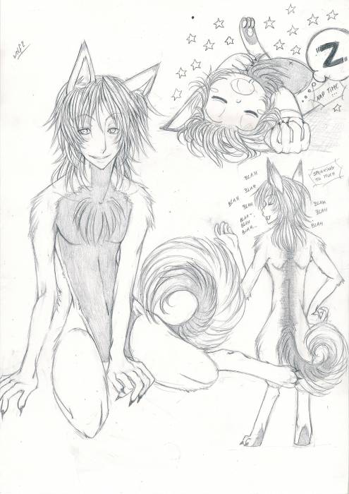chiboard-b16t31810-20080725_Wolf2_upby-Duky.jpg
